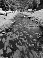DSCN1023 (2)